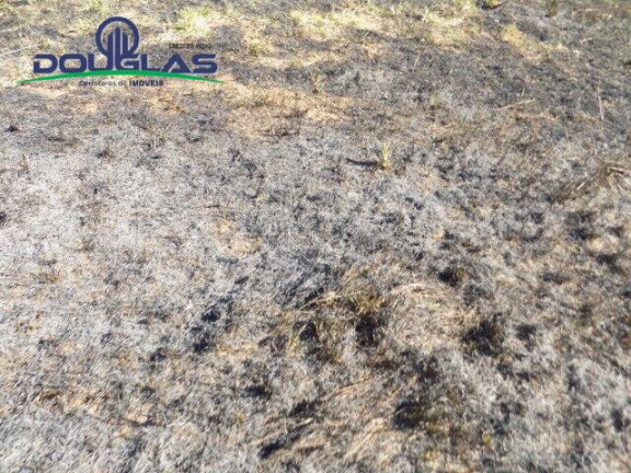 Imagem Terreno à Venda, 853 m² em Viamão
