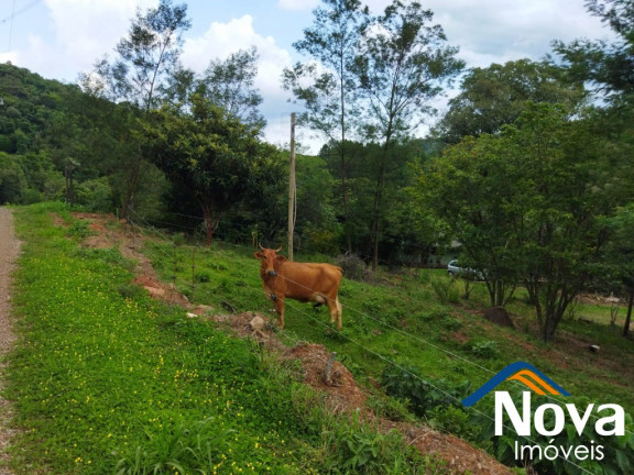 Imagem Imóvel à Venda, em Linha Pirajá Alta - Nova Petrópolis Imagem Imóvel à Venda, em Linha Pirajá Alta - Nova Petrópolis