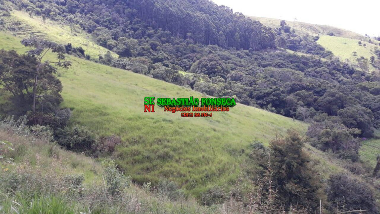 Imagem Chácara à Venda, 23 m² em Centro - Paraibuna Imagem Chácara à Venda, 23 m² em Centro - Paraibuna