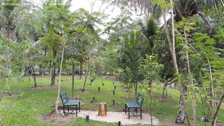 Imagem Chácara à Venda, 190 m² em Região Serrana - Macaé Imagem Chácara à Venda, 190 m² em Região Serrana - Macaé