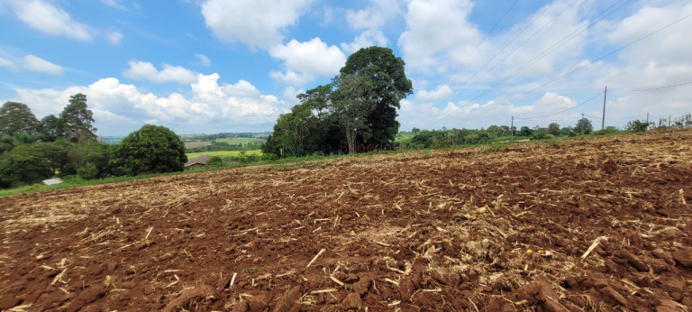 Imagem Imóvel à Venda, 242.000 m² em Centro - Itapetininga Imagem Imóvel à Venda, 242.000 m² em Centro - Itapetininga