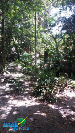 Imagem Terreno à Venda, 4.582 m² em Br367 - Santa Cruz Cabrália Imagem Terreno à Venda, 4.582 m² em Br367 - Santa Cruz Cabrália