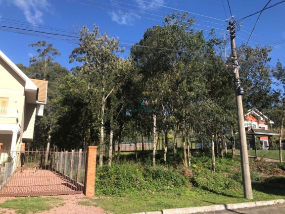 Imagem Terreno à Venda, 825 m² em Vale Das Colinas - Gramado Imagem Terreno à Venda, 825 m² em Vale Das Colinas - Gramado