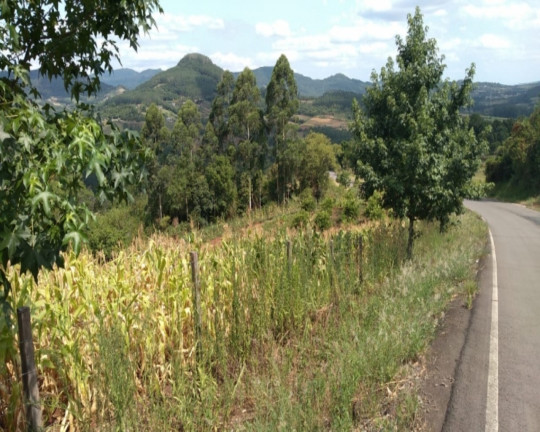 Imagem Imóvel com 2 Quartos à Venda,  em Vila Rica - Feliz
