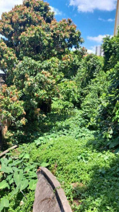 Imagem Terreno à Venda, 1.470 m² em Vila Mangalot - São Paulo Imagem Terreno à Venda, 1.470 m² em Vila Mangalot - São Paulo