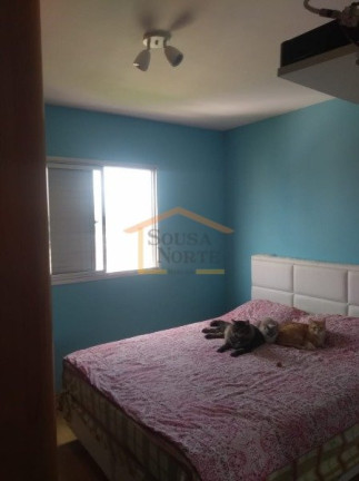 Imagem Apartamento com 2 Quartos à Venda, 55 m² em Vila Ipojuca - São Paulo Imagem Apartamento com 2 Quartos à Venda, 55 m² em Vila Ipojuca - São Paulo