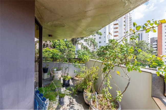 Imagem Apartamento com 4 Quartos à Venda, 289 m² em Higienópolis - São Paulo Imagem Apartamento com 4 Quartos à Venda, 289 m² em Higienópolis - São Paulo