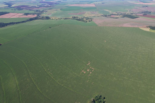 Imagem Fazenda à Venda, 540 m² em Zona Rural - Munhoz De Melo
