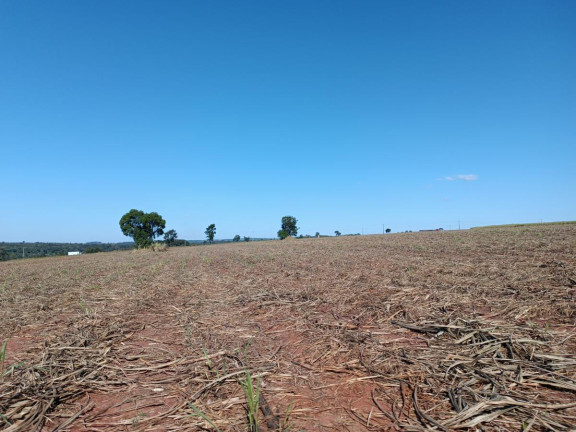 Imagem Chácara à Venda, 29 m² em Rural - Avaré Imagem Chácara à Venda, 29 m² em Rural - Avaré