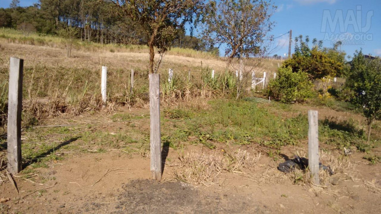 Imagem Imóvel com 3 Quartos à Venda, 88 m² em Não Informado - Santo Antônio Da Patrulha Imagem Imóvel com 3 Quartos à Venda, 88 m² em Não Informado - Santo Antônio Da Patrulha