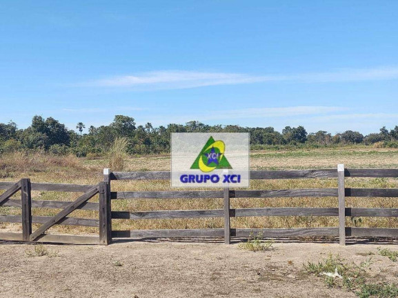 Imagem Fazenda à Venda, 135.000.000 m² em Centro - Ribeirão Cascalheira