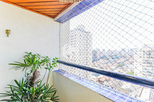 Imagem Apartamento com 2 Quartos à Venda, 70 m² em Vila Ipojuca - São Paulo Imagem Apartamento com 2 Quartos à Venda, 70 m² em Vila Ipojuca - São Paulo
