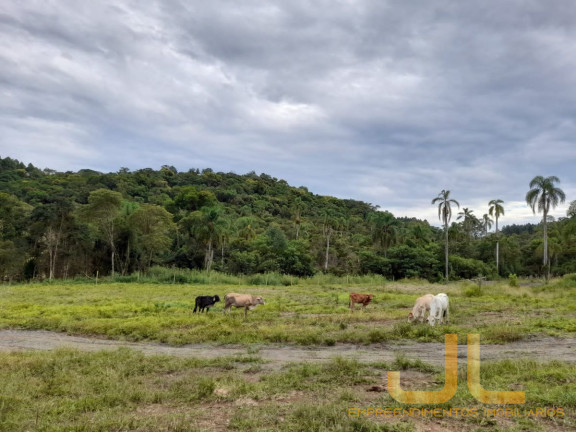 Terreno à Venda, 100 m² em Alto Cedros - Rio Dos Cedros