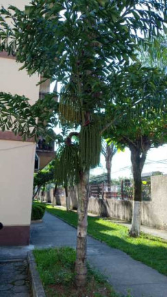 Imagem Imóvel com 2 Quartos à Venda, 60 m² em Campo Grande - Rio De Janeiro