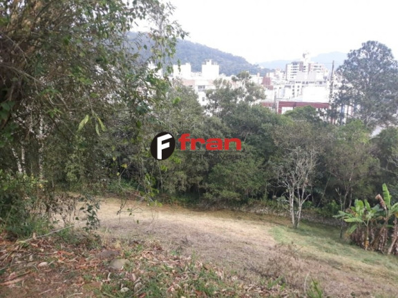 Imagem Imóvel à Venda, 44.952 m² em Córrego Grande - Florianópolis Imagem Imóvel à Venda, 44.952 m² em Córrego Grande - Florianópolis