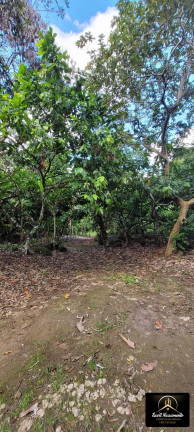 Imagem Fazenda à Venda, 8 m² em Zona Rural - Ubaitaba Imagem Fazenda à Venda, 8 m² em Zona Rural - Ubaitaba