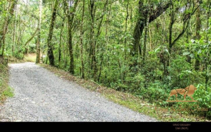 Imagem Terreno à Venda, 1.446 m² em Alto Do Capivari - Campos Do Jordão Imagem Terreno à Venda, 1.446 m² em Alto Do Capivari - Campos Do Jordão