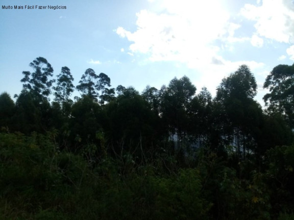 Imagem Terreno à Venda, 3 m² em Fazenda Pirajá - Nova Petrópolis