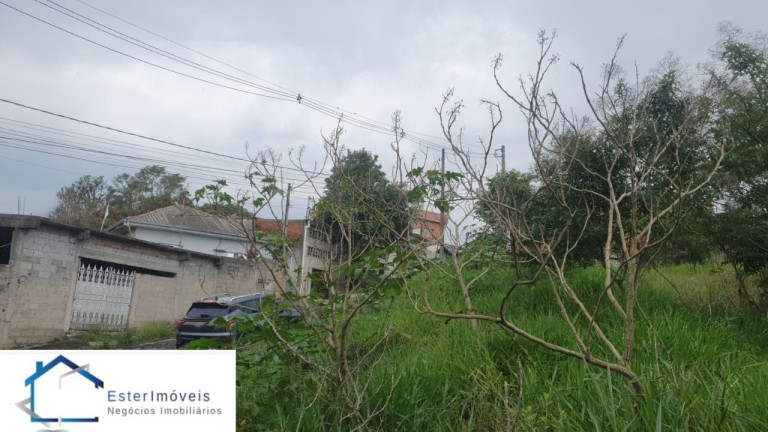 Imagem Terreno para Alugar ou Temporada, 291 m² em Vila Constança (botujuru) - Campo Limpo Paulista Imagem Terreno para Alugar ou Temporada, 291 m² em Vila Constança (botujuru) - Campo Limpo Paulista