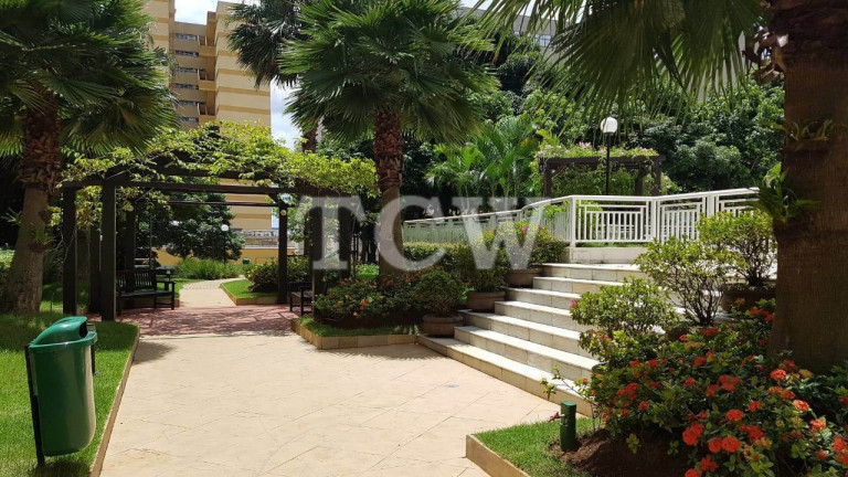 Imagem Apartamento com 3 Quartos à Venda, 176 m² em Aclimação - São Paulo Imagem Apartamento com 3 Quartos à Venda, 176 m² em Aclimação - São Paulo