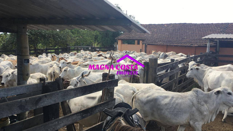 Imagem Fazenda à Venda, 2 m² em Banqueiros - Araruama Imagem Fazenda à Venda, 2 m² em Banqueiros - Araruama