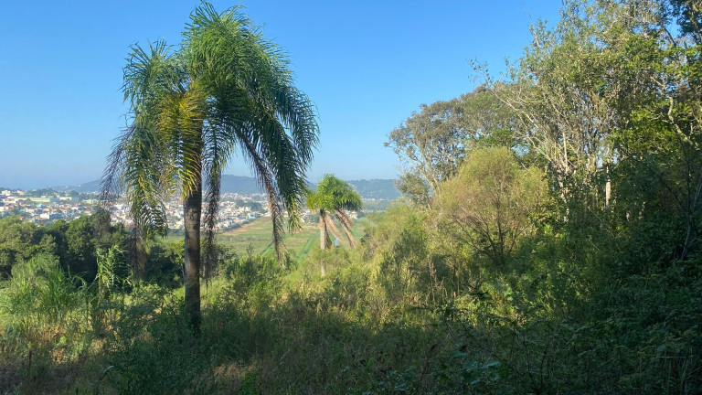 Imagem Terreno à Venda, 61.000 m² em Ambrósio - Garopaba