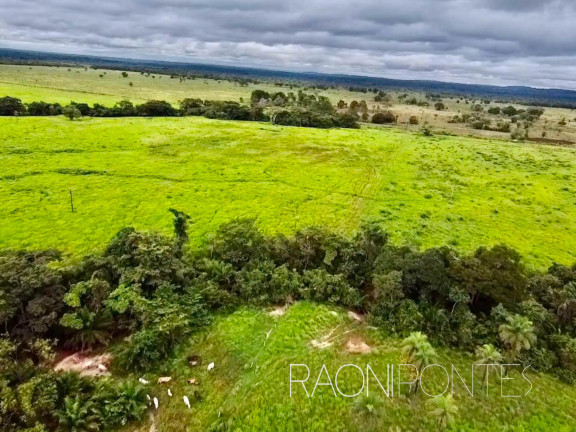 Imagem Fazenda à Venda, 7.930.000 m² em Zona Rural - Filadélfia