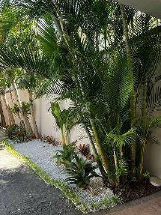 Imagem Casa com 3 Quartos à Venda, 300 m² em Butantã - São Paulo