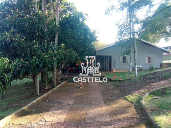 Imagem Chácara com 3 Quartos à Venda, 5.596 m² em Três Bocas  - Londrina