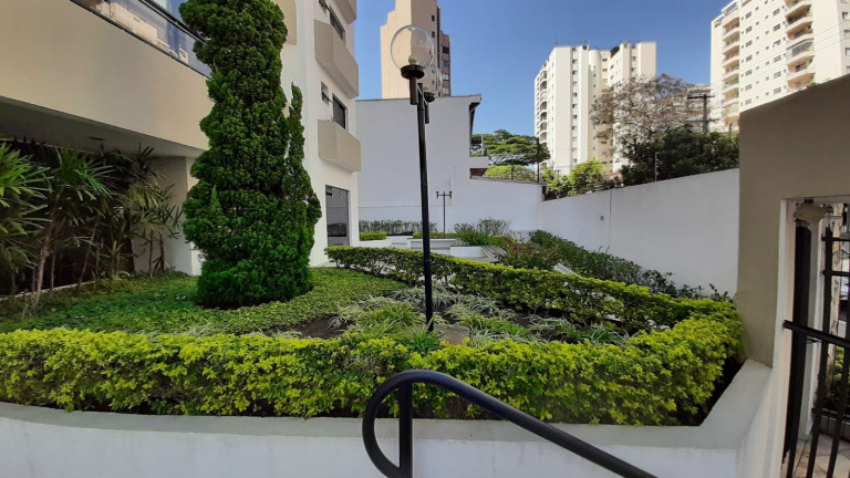 Imagem Apartamento com 3 Quartos à Venda, 98 m² em Moema índios - São Paulo Imagem Apartamento com 3 Quartos à Venda, 98 m² em Moema índios - São Paulo