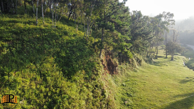 Imagem Terreno à Venda, 3.000 m² em Barrinha - São Lourenço Da Serra