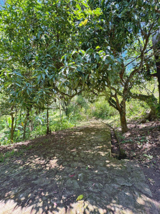 Imagem Chácara com 8 Quartos à Venda, 49.000 m² em Portão - Atibaia Imagem Chácara com 8 Quartos à Venda, 49.000 m² em Portão - Atibaia
