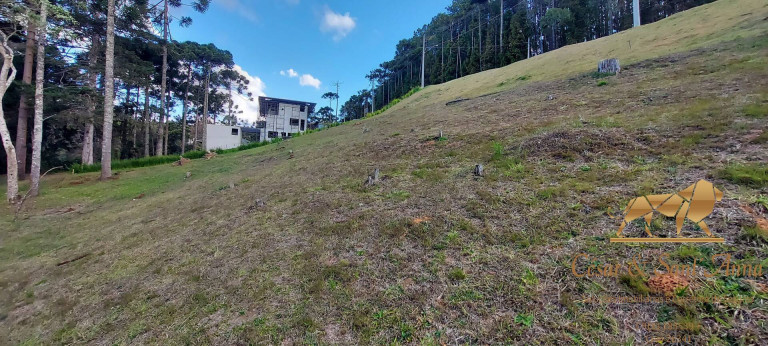 Imagem Terreno em Condomínio à Venda, 1.146 m² em Alto Do Capivari - Campos Do Jordão Imagem Terreno em Condomínio à Venda, 1.146 m² em Alto Do Capivari - Campos Do Jordão