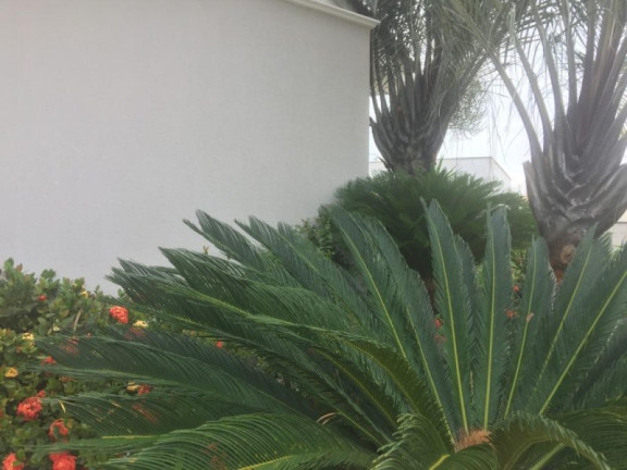 Imagem Sobrado com 2 Quartos à Venda, 400 m² em Parque Santa Isabel - Sorocaba