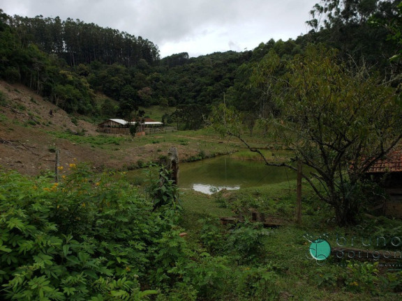 Imagem Imóvel com 3 Quartos à Venda, 250.000 m² em Zona Rural - Bom Retiro