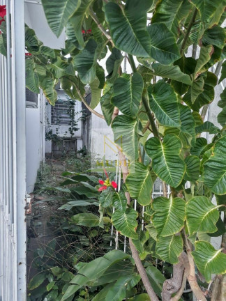 Imagem Casa com 3 Quartos à Venda, 138 m² em Medianeira - Porto Alegre Imagem Casa com 3 Quartos à Venda, 138 m² em Medianeira - Porto Alegre