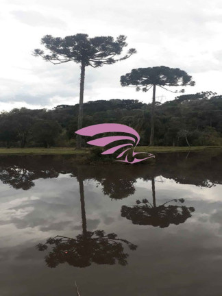 Imagem Imóvel à Venda, 25.892 m² em Borda Do Campo - São José Dos Pinhais Imagem Imóvel à Venda, 25.892 m² em Borda Do Campo - São José Dos Pinhais