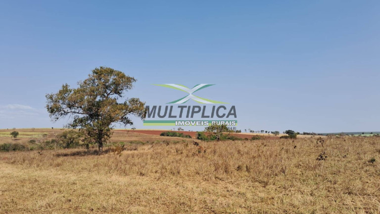 Imagem Fazenda à Venda, 256 m² em Paranaíba Imagem Fazenda à Venda, 256 m² em Paranaíba