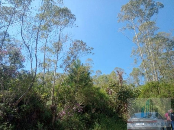 Imagem Terreno à Venda, 1.300 m² em Jardim Dos Eucaliptos - Suzano Imagem Terreno à Venda, 1.300 m² em Jardim Dos Eucaliptos - Suzano