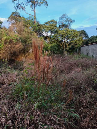 Imagem Apartamento com 1 Quarto à Venda, 740 m² em Morada Dos Pássaros - Poços De Caldas