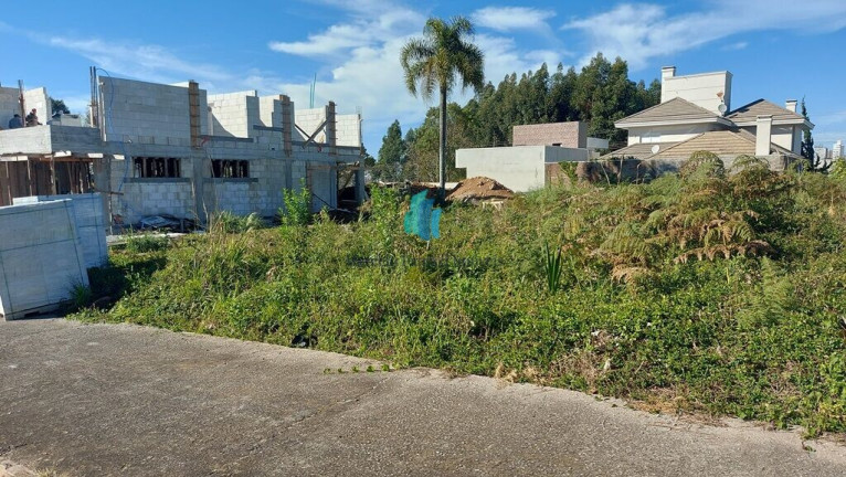 Imagem Terreno à Venda, 441 m² em Universitário - Bento Gonçalves Imagem Terreno à Venda, 441 m² em Universitário - Bento Gonçalves