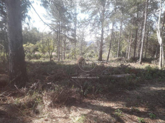 Imagem Terreno em Condomínio à Venda, 15.070 m² em Estoril - Nova Lima