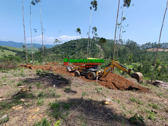 Imagem Chácara à Venda, 20.000 m² em Centro - Monteiro Lobato