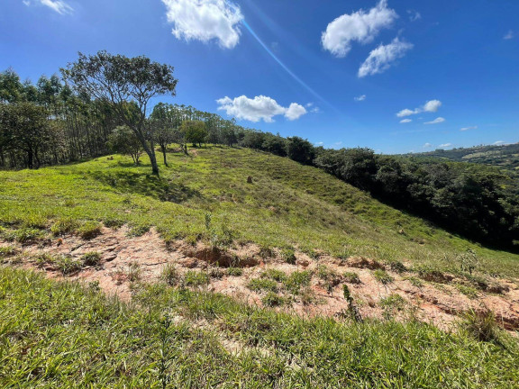 Imagem Terreno à Venda, 5 m² em Centro - Itatiaiuçu Imagem Terreno à Venda, 5 m² em Centro - Itatiaiuçu