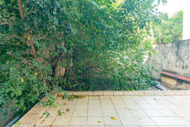 Imagem Casa com 5 Quartos à Venda, 450 m² em Bom Fim - Porto Alegre