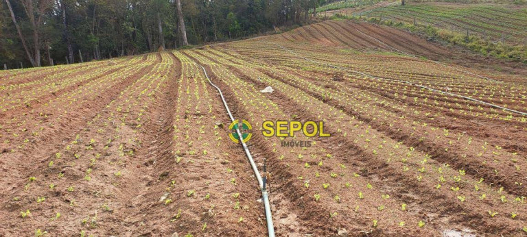 Imagem Terreno à Venda, 19.000 m² em Jardim Do Pinhal - Pinhalzinho Imagem Terreno à Venda, 19.000 m² em Jardim Do Pinhal - Pinhalzinho