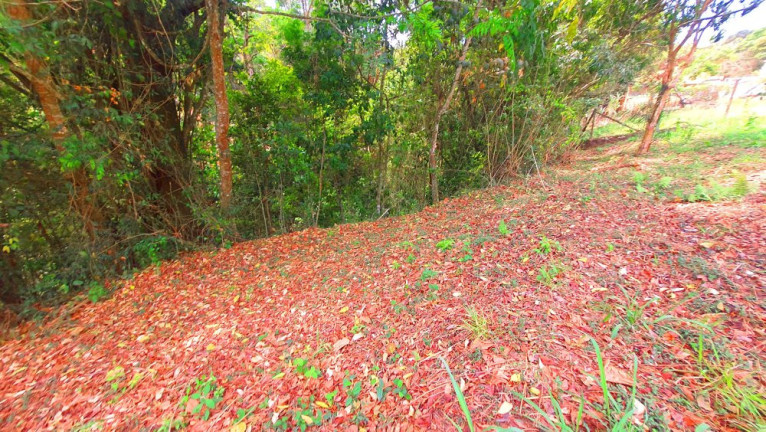 Imagem Imóvel à Venda, 246 m² em Loteamento Bosque Dos Palmares - Atibaia Imagem Imóvel à Venda, 246 m² em Loteamento Bosque Dos Palmares - Atibaia