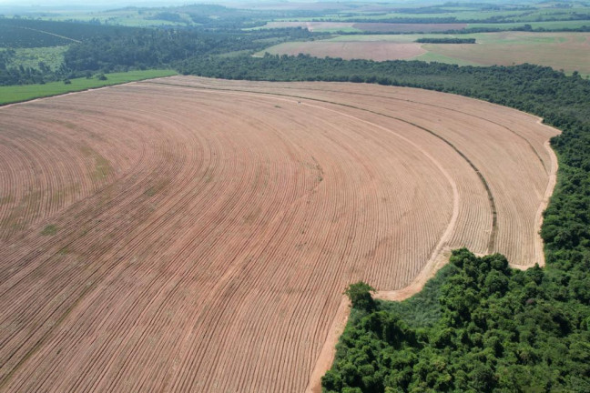 Imagem Chácara à Venda, 43 m² em Zona Rural - Tambaú Imagem Chácara à Venda, 43 m² em Zona Rural - Tambaú