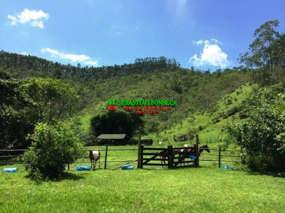 Imagem Chácara com 5 Quartos à Venda, 244.000 m² em São Francisco Xavier - São José Dos Campos