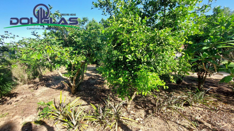 Imagem Terreno à Venda, em águas Claras - Viamão Imagem Terreno à Venda, em águas Claras - Viamão